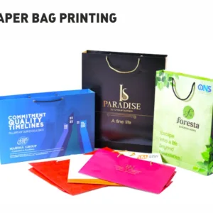 Paper-Bag-Printing